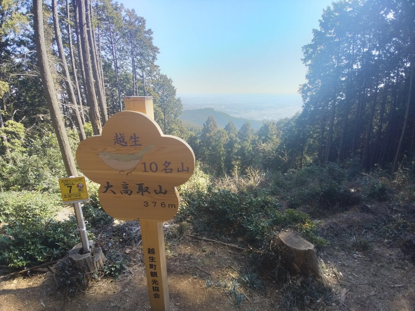 大高取山（越生〜高麗）20230320 / 丸金さんの大高取山の活動データ | YAMAP / ヤマップ