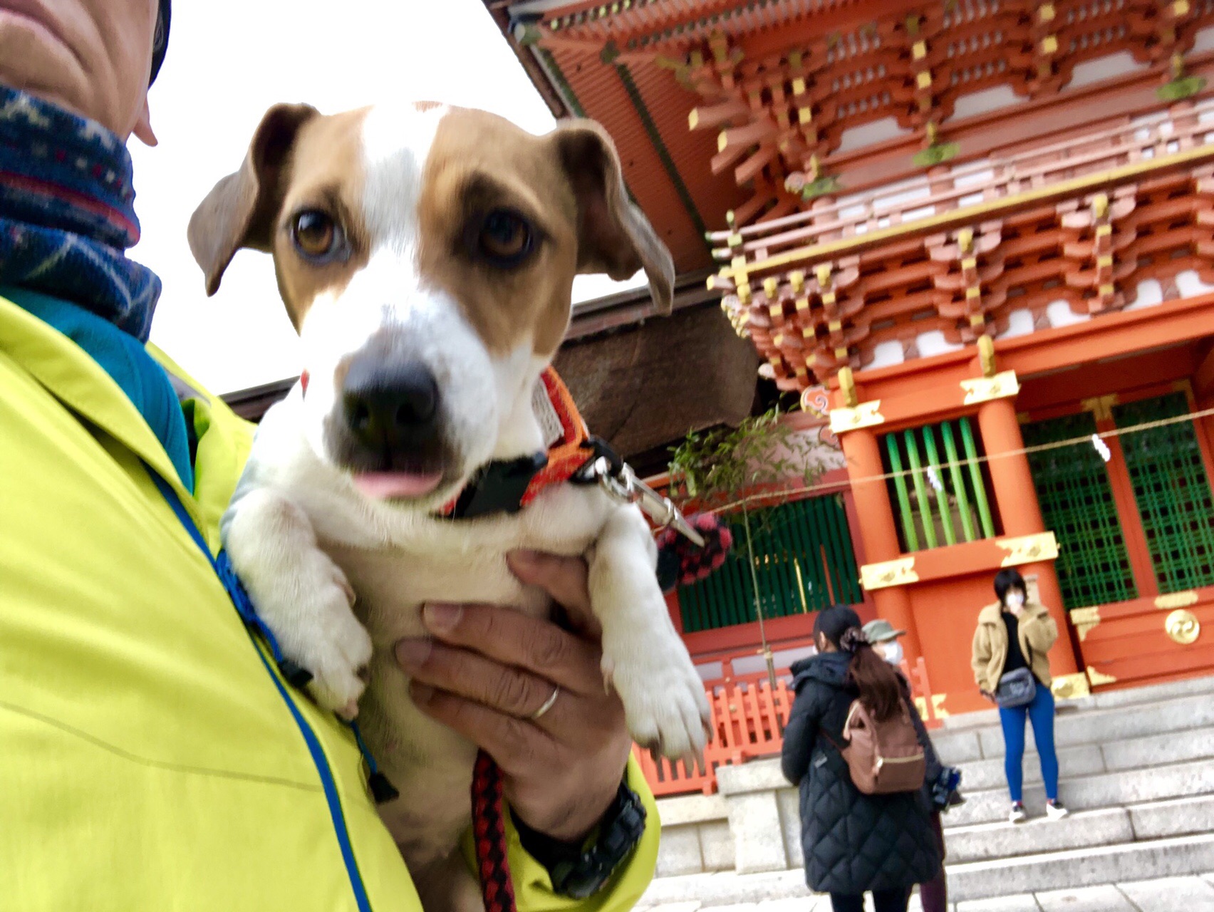 亥 グリン 宇佐神宮の 節分豆まき グリンさんの御許山 雲ヶ岳 米神山の活動日記 Yamap ヤマップ