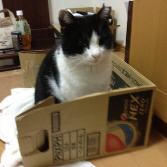 ゆのちゃんまん