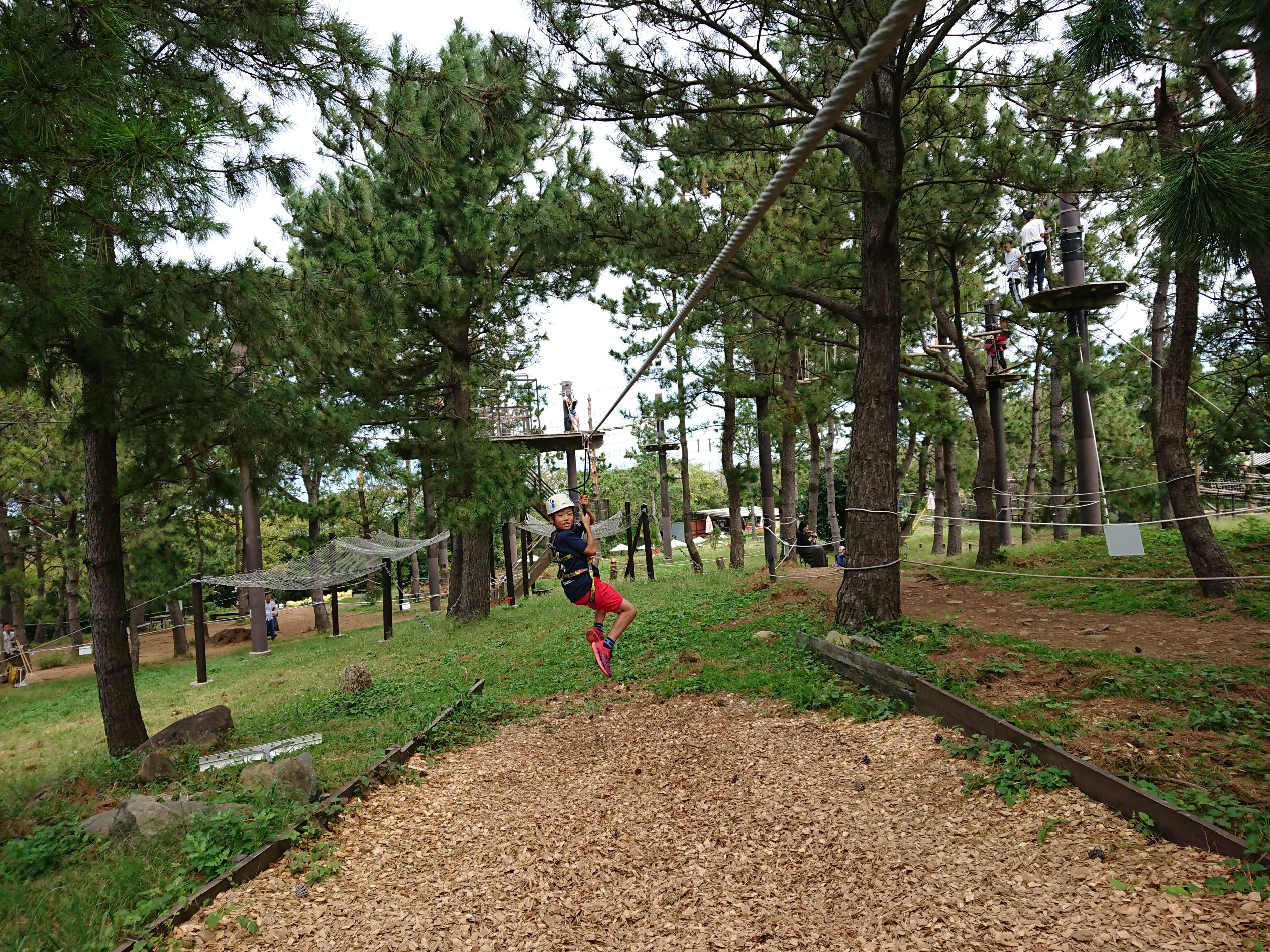 観光ですが Yamap改めてumip イン 初島 Ktomcatさんの巣雲山の活動日記 Yamap ヤマップ