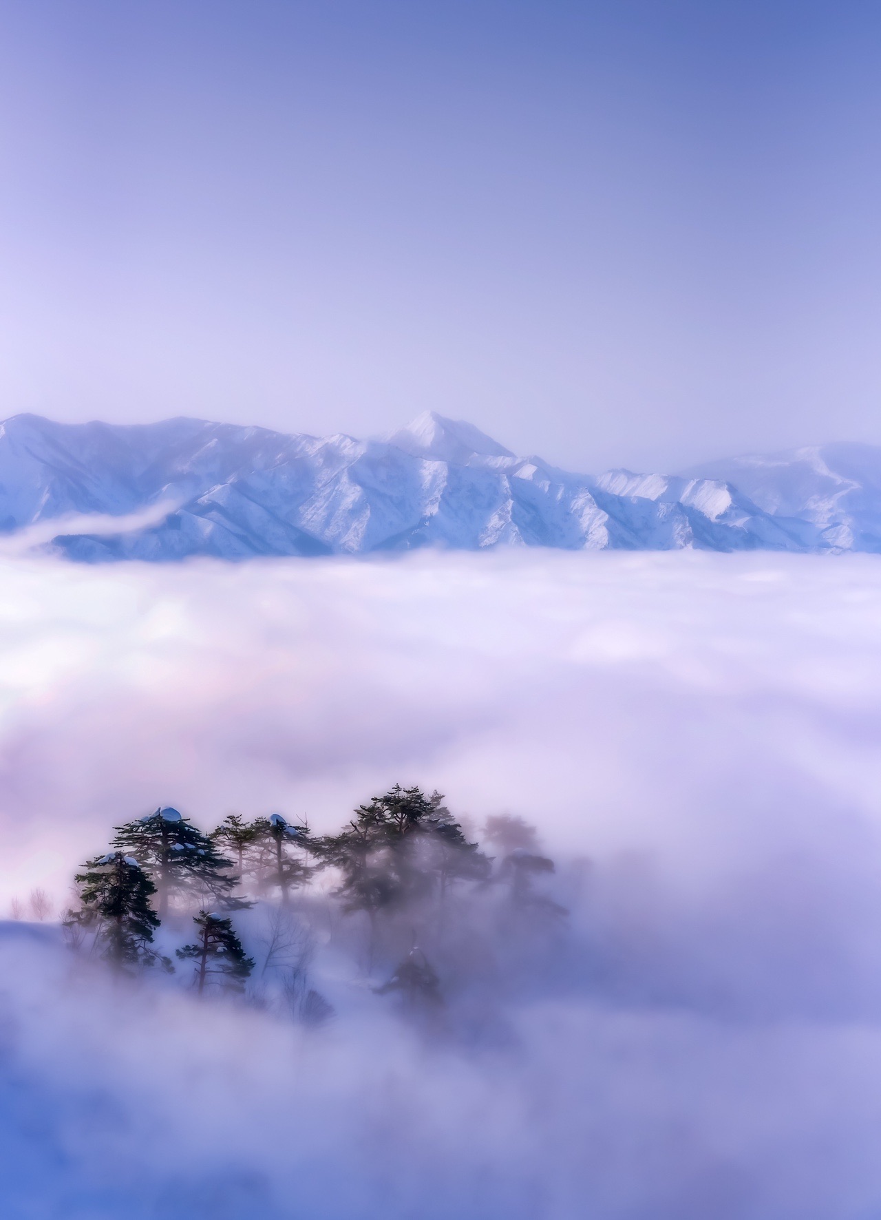 エモい坂戸山 ง W ง ひかるさんの坂戸山の活動データ Yamap ヤマップ