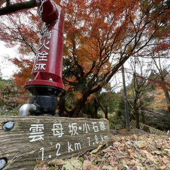 駐車場のちょっと先、雲母坂への標識。
大好きな英彦山は今後もっともっと深掘りしたいと思っています🤭ここもいずれ…