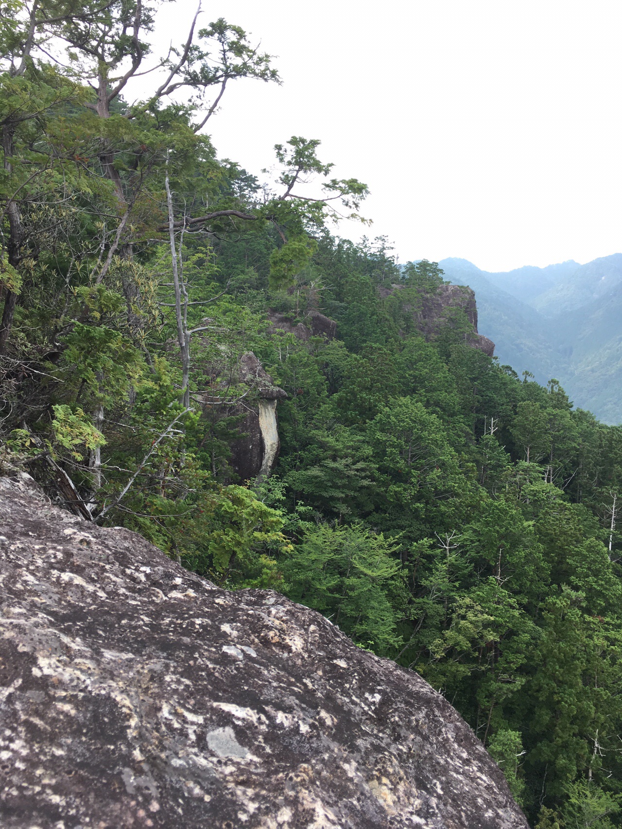 上臈岩へ鳳来湖を見に行く 2019 07 24 もーりーさんの鞍掛山 愛知県 鳳来寺山 岩古谷山の活動日記 Yamap ヤマップ