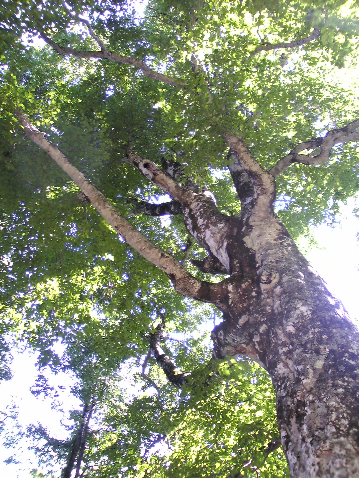 08年9月 青森県と秋田県にまたがる Yotaさんのモーメント Yamap ヤマップ