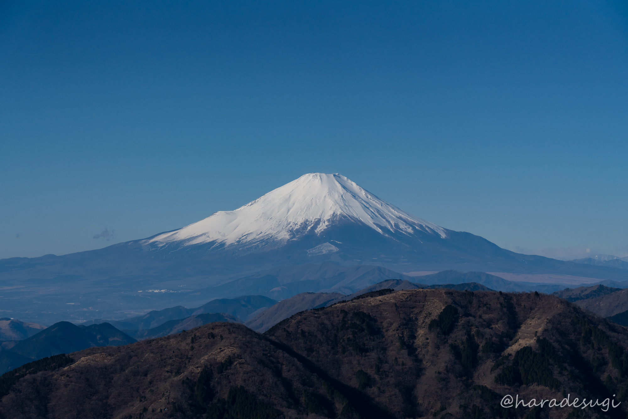 冬の丹沢大山に登って米を炊いてカレーを食べる はらですぎさんの大山の活動データ Yamap ヤマップ
