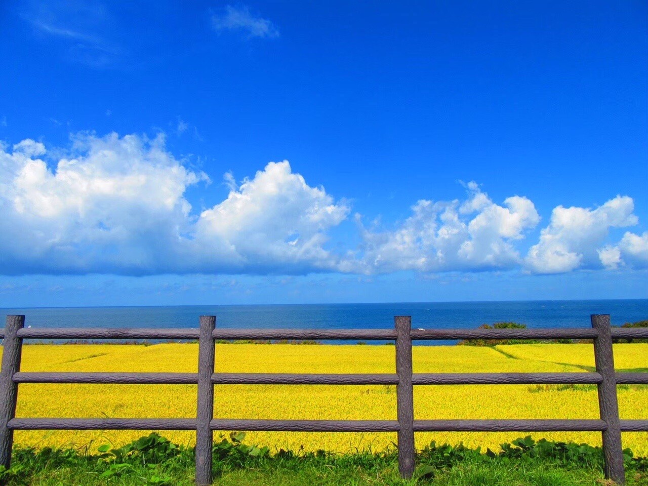 【東北編】 海外ネタが尽きたので、国内編... / ななさんのモーメント YAMAP / ヤマップ