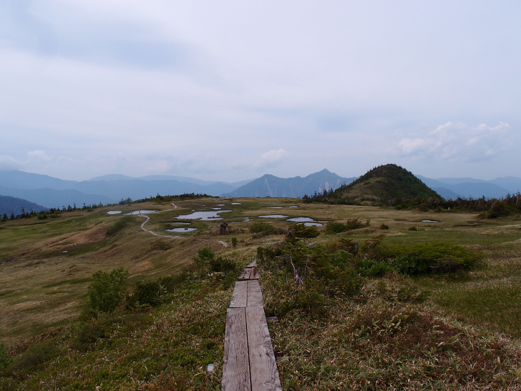日本百名山 苗場山 小赤沢ルート 日帰り Toshiさんの苗場山 赤倉山 佐武流山の活動データ Yamap ヤマップ