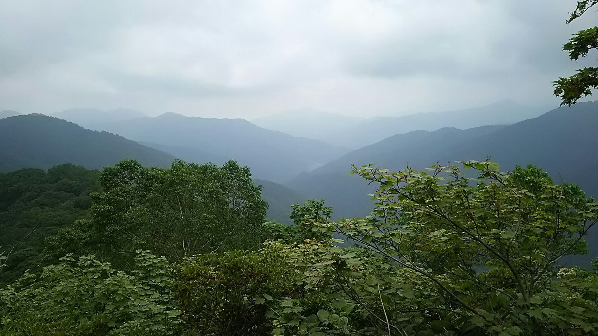 稲包山 山ヒル の道 真ヒルの決闘 すーさんの苗場山 赤倉山 佐武流山の活動日記 Yamap ヤマップ
