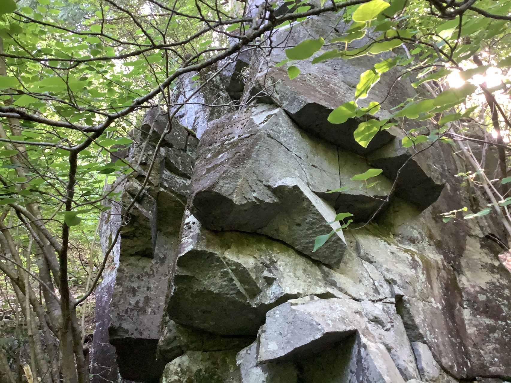 小秀に入らずんば御嶽を得ず 小秀山 06 07 No Fearさんの小秀山の活動日記 Yamap ヤマップ