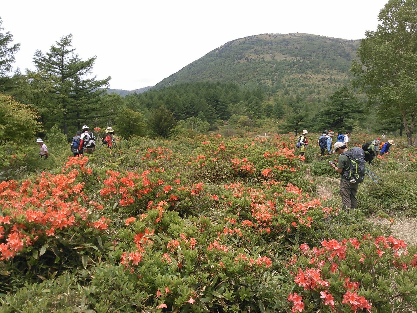 湯の丸高原ハイキング てっし さんの浅間山 黒斑山 篭ノ登山の活動データ Yamap ヤマップ