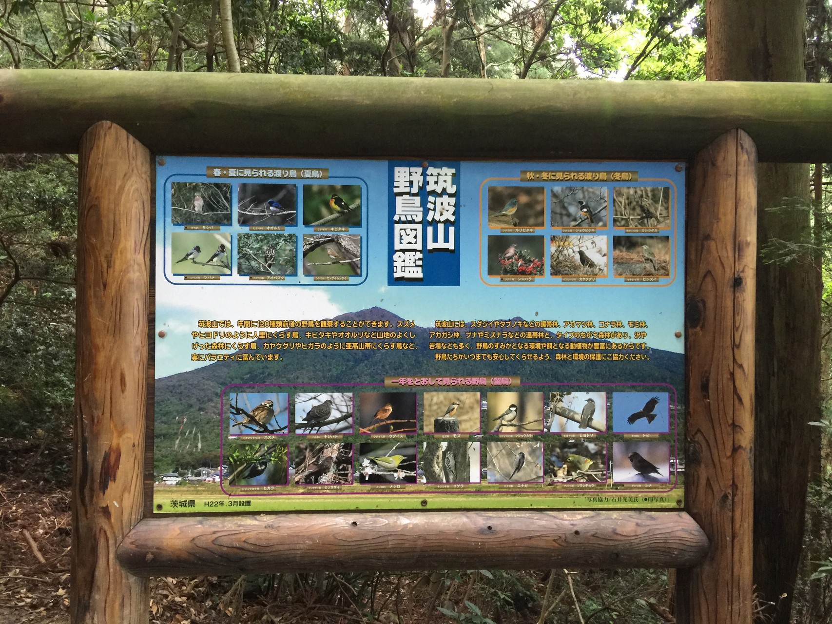 初ソロ 筑波山 Ebichinさんの筑波山の活動日記 Yamap ヤマップ