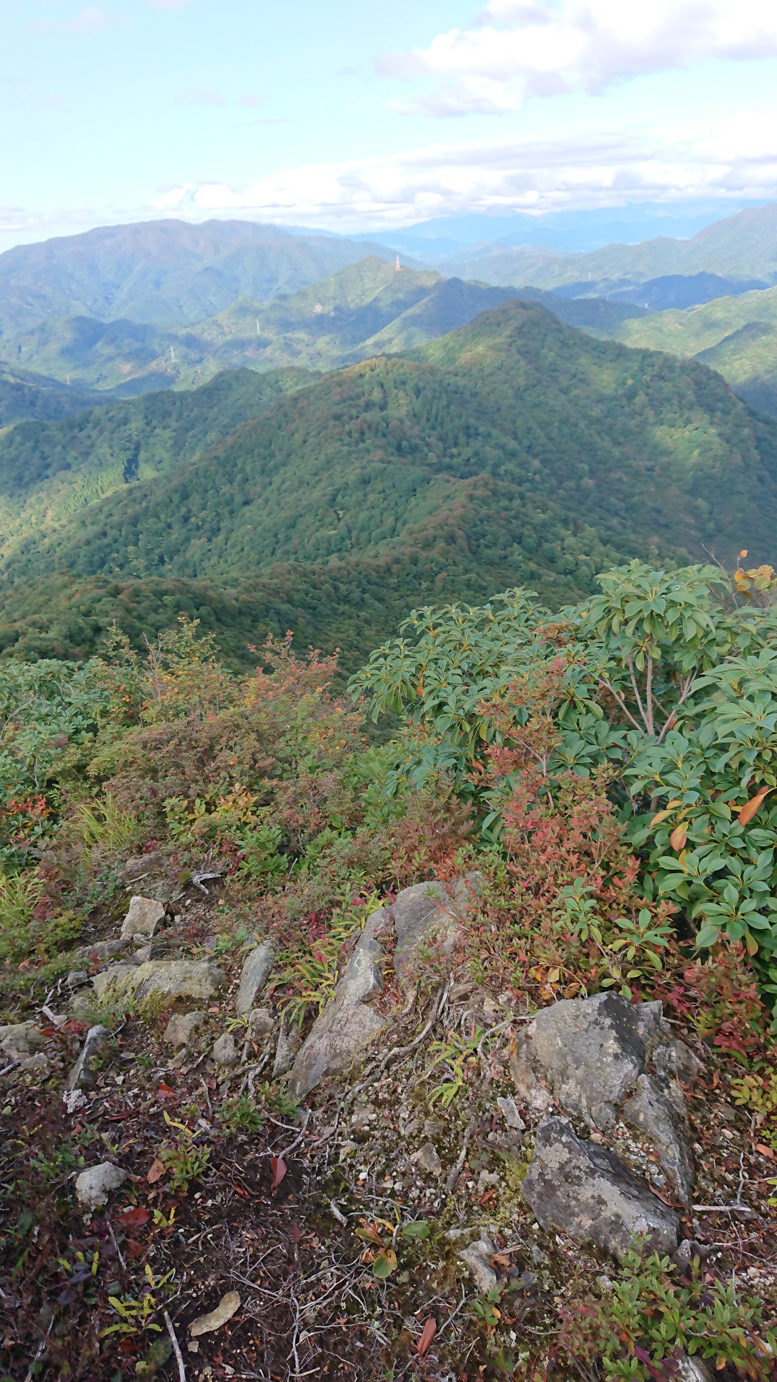 木六山・銀次郎山 歩いてきた尾根筋がちょっと茶色に
