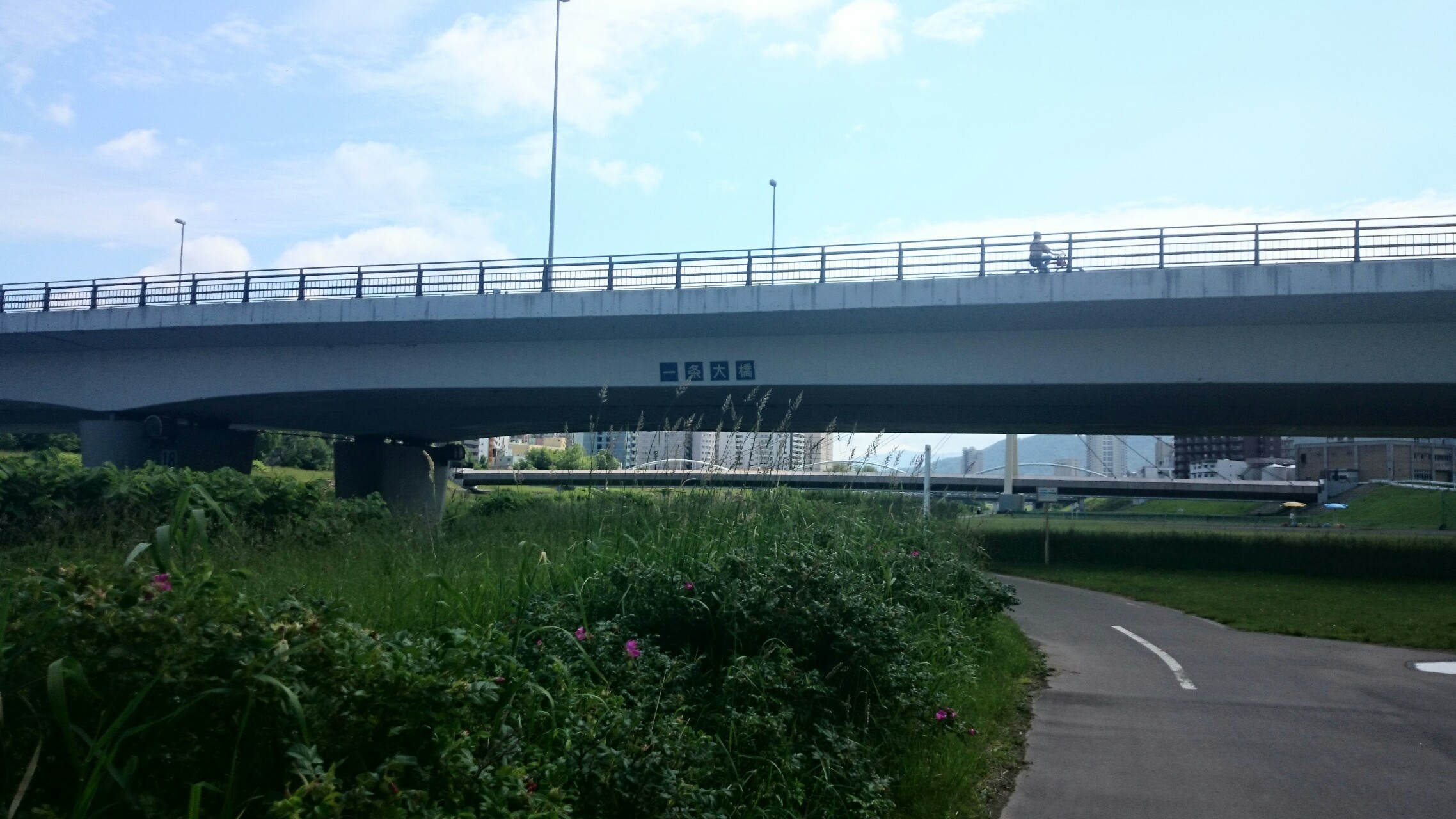 豊平川河川敷まったりサイクリング Skyさんの札幌市の活動日記 Yamap ヤマップ