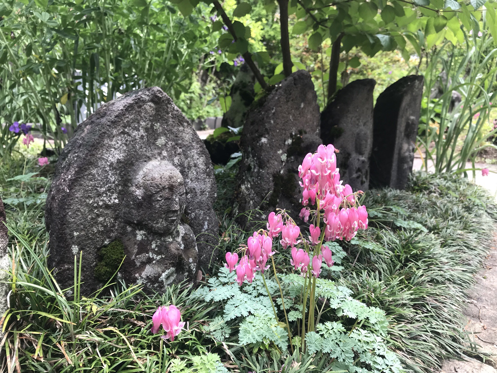 川場村の花寺 吉祥寺を訪ねて ポプさんの武尊山 鹿俣山 尼ヶ禿山の活動データ Yamap ヤマップ