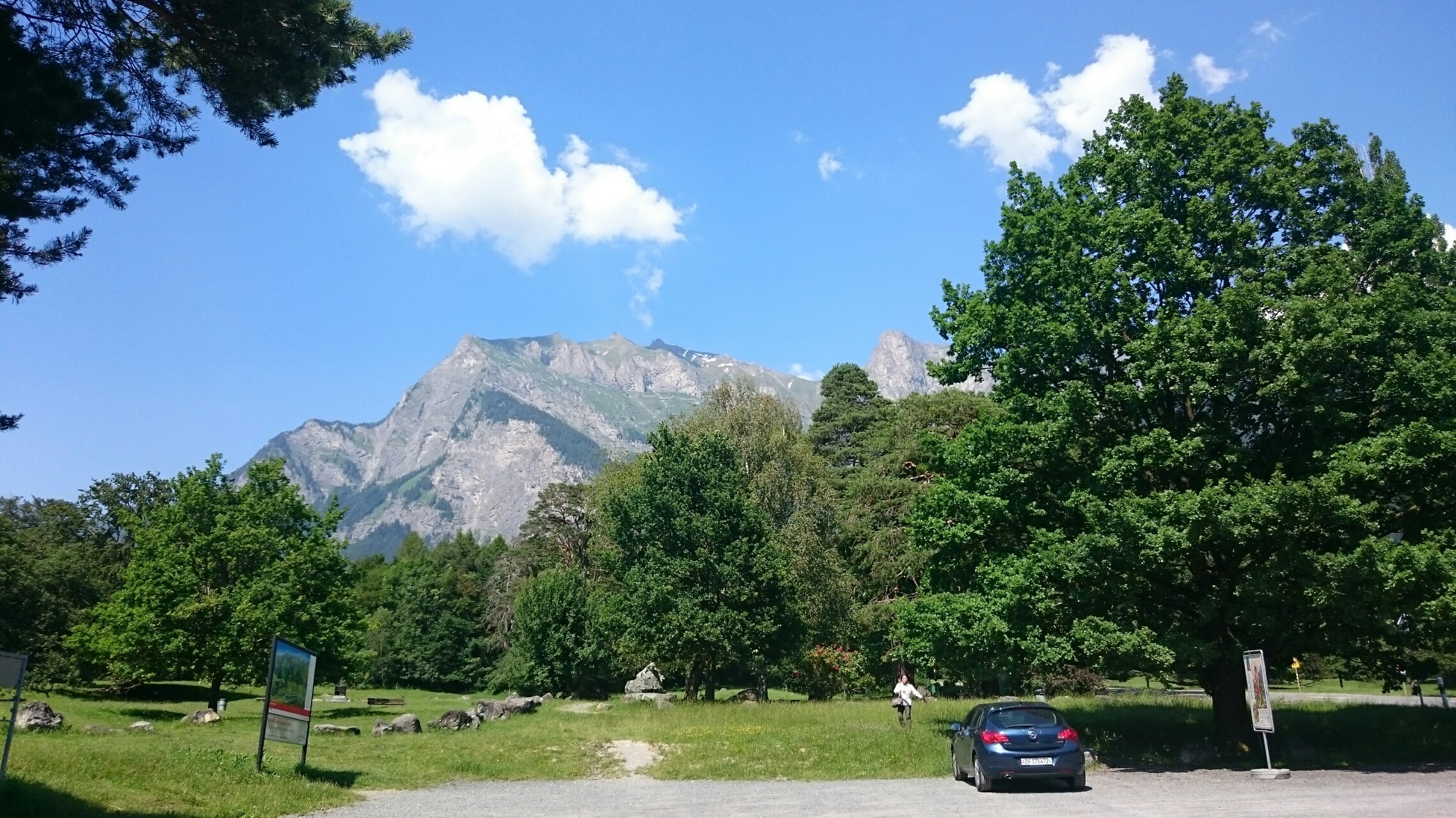 ハイジの里 マイエンフエルトへ はまさんのマッターホルンの活動日記 Yamap ヤマップ