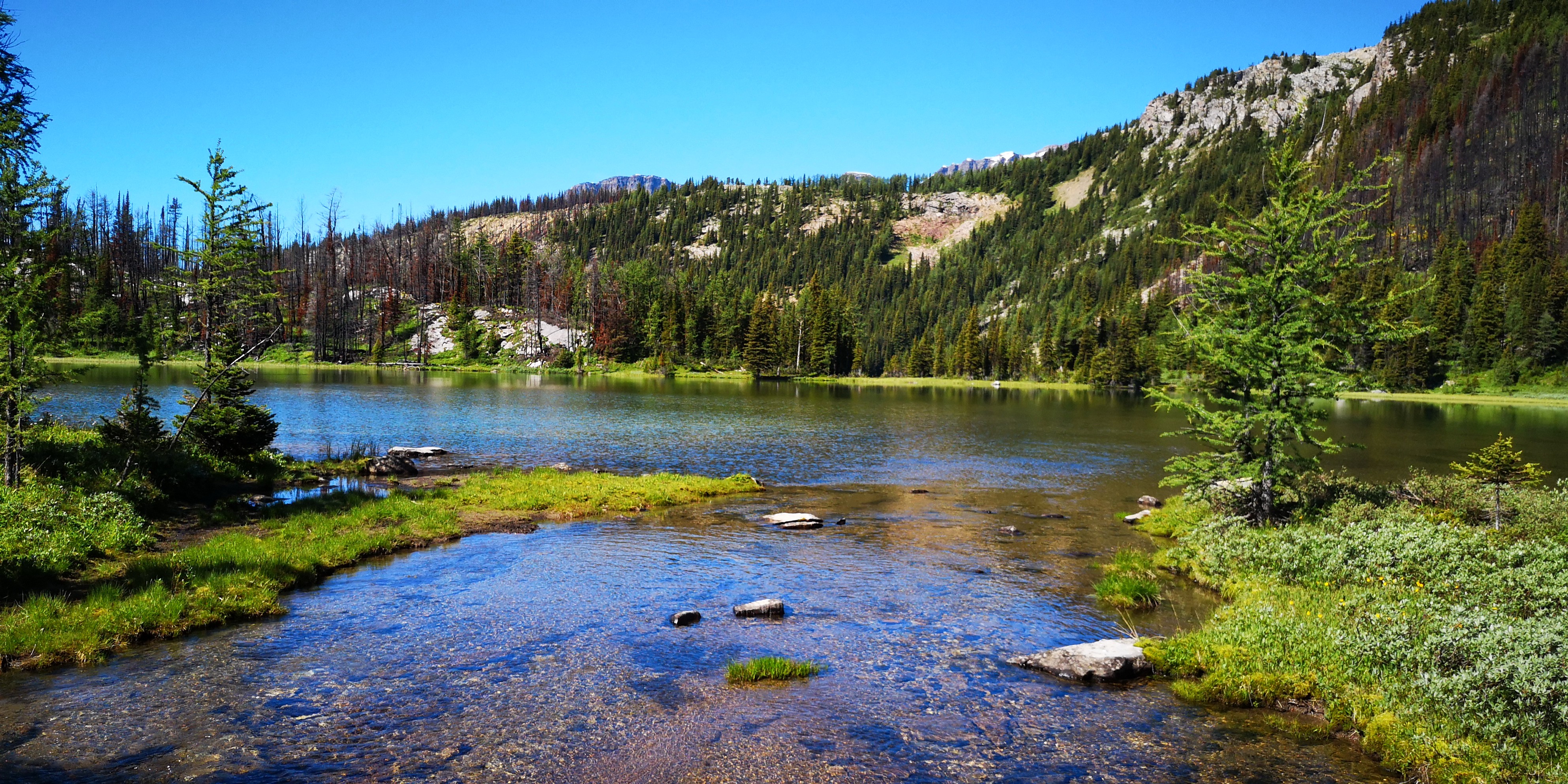 サンシャインメドウズ Keisさんのバンフの活動日記 Yamap ヤマップ