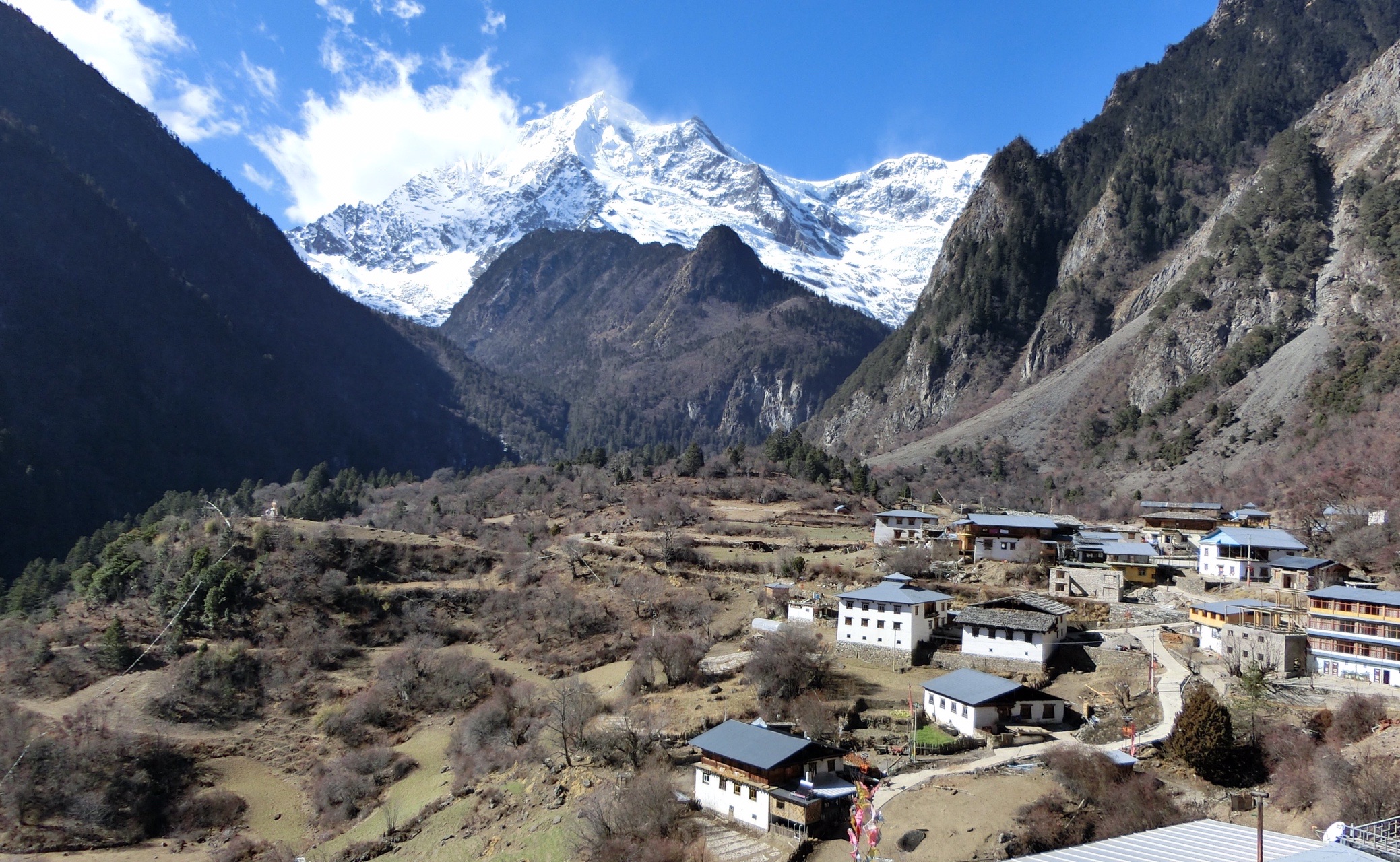 送料込み。清涼感。山採りウメモドキ。。 komeri_4960673684074