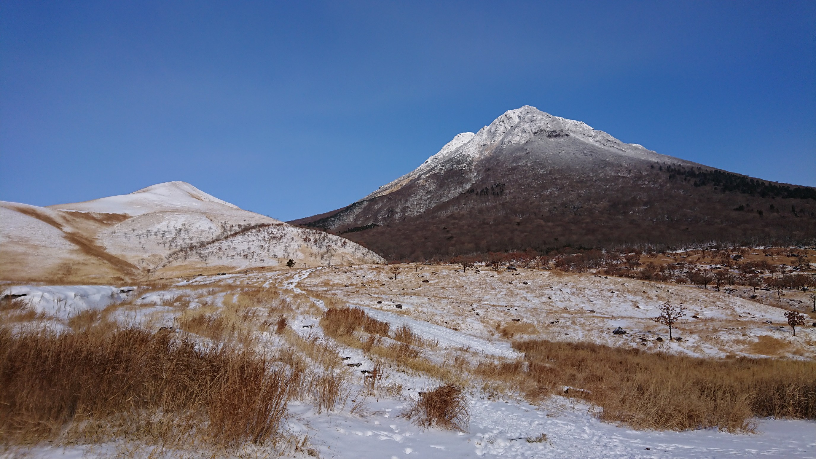 冬にはやっぱり 由布岳 東峰 21 1 11 たかなりさんの由布岳 鶴見岳の活動データ Yamap ヤマップ