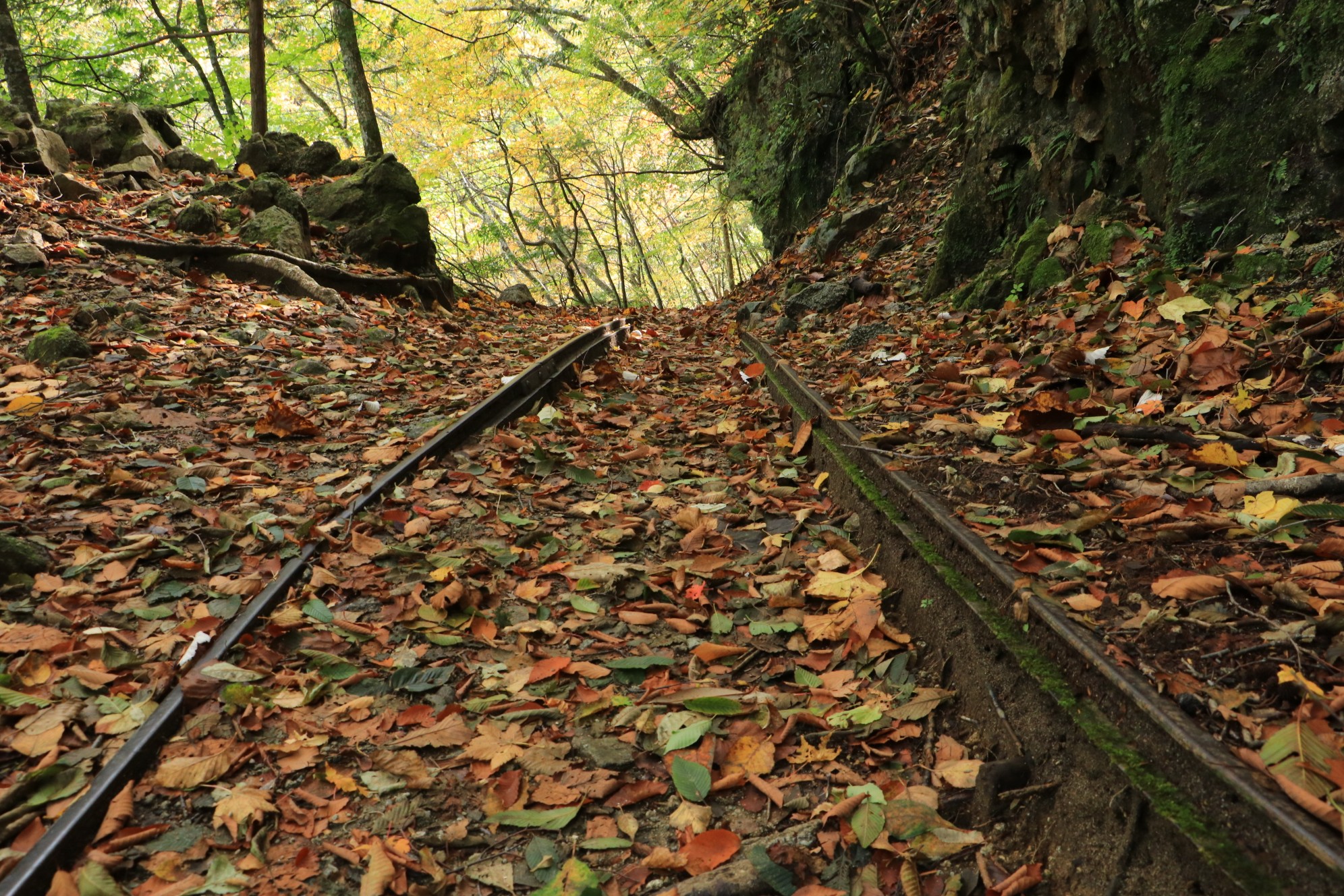 西沢渓谷のちキャンプ 19 10 26 Samuoさんの甲武信ヶ岳の活動データ Yamap ヤマップ