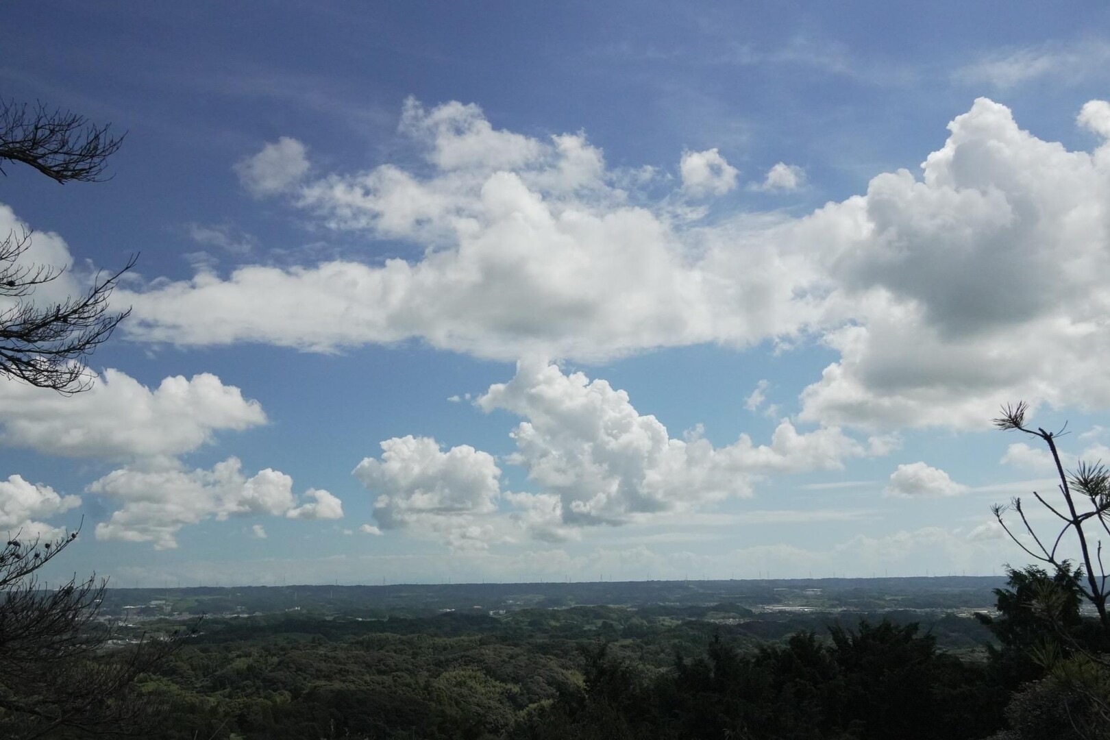 佐束山（掛川市） / たまに旅chさんの小笠山の活動データ YAMAP / ヤマップ