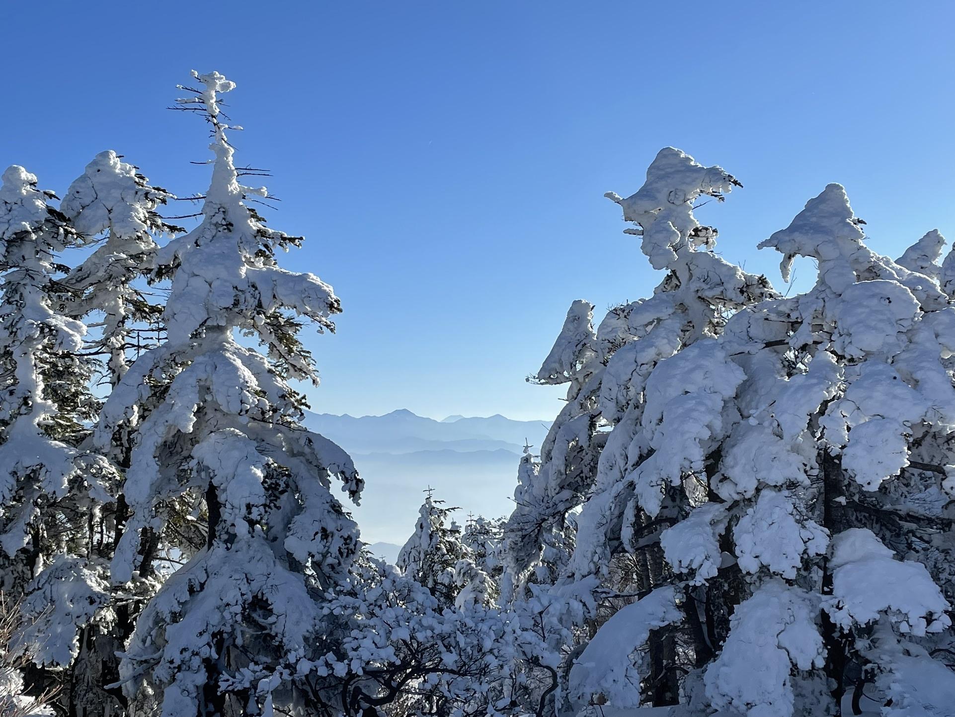 厳冬期の恵那山へ、今日はイージーモードでした😊 / チャムGmbH