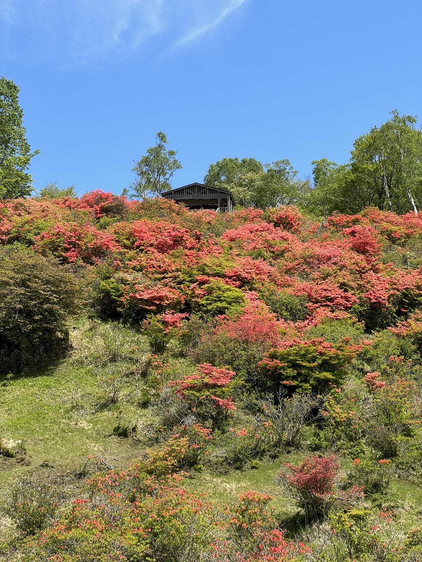 見晴山に向かいます