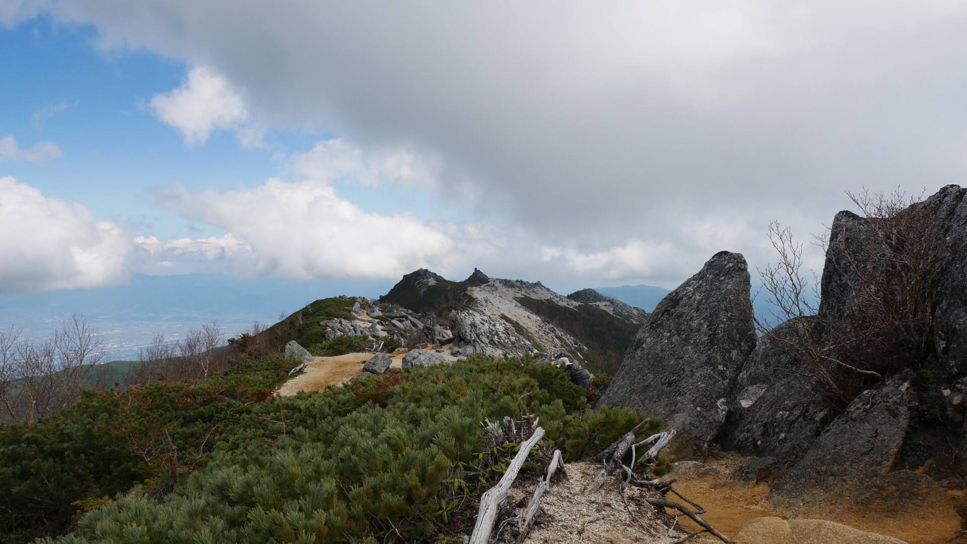 2022年6月4日 鳳凰三山 / 鳳凰山・地蔵岳・観音岳・薬師岳の写真22枚目 
