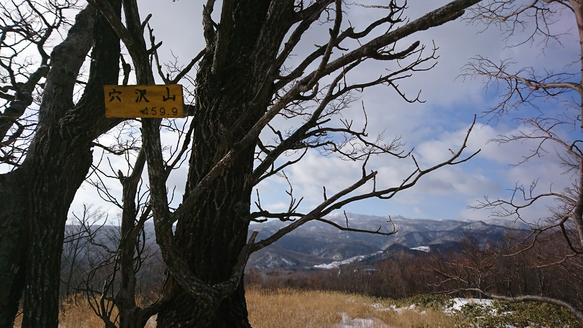 穴沢山 懐かしの真駒内スキー場 歌合戦 まこちんさんの豊平山 焼山 の活動データ Yamap ヤマップ