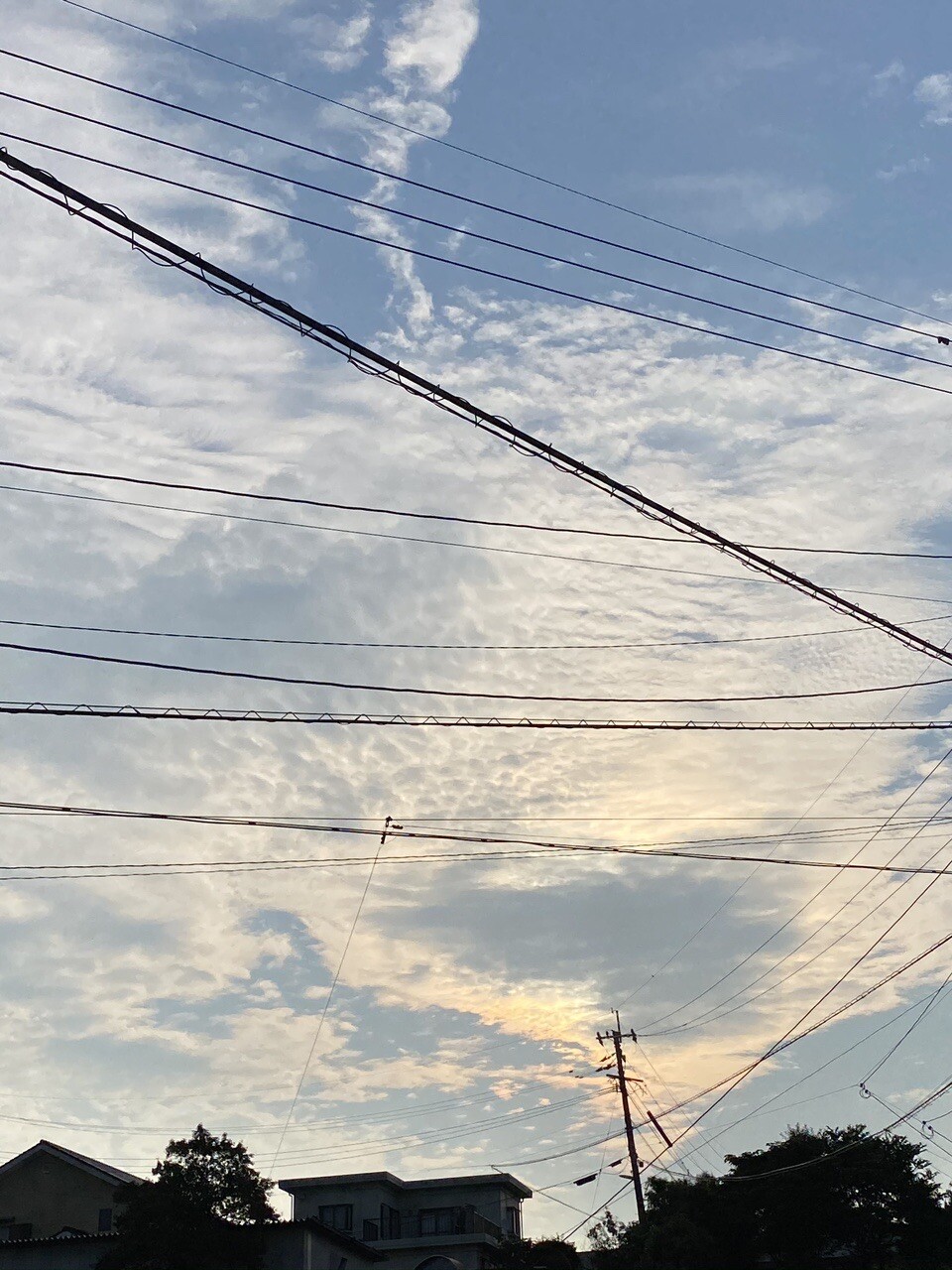 空の雲 は 色んな形を魅せてくれます もか さんのモーメント Yamap ヤマップ