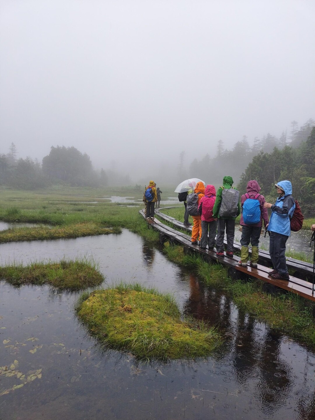 志賀高原の池巡り / inojunさんの横手山・志賀山・赤石山の活動データ | YAMAP / ヤマップ