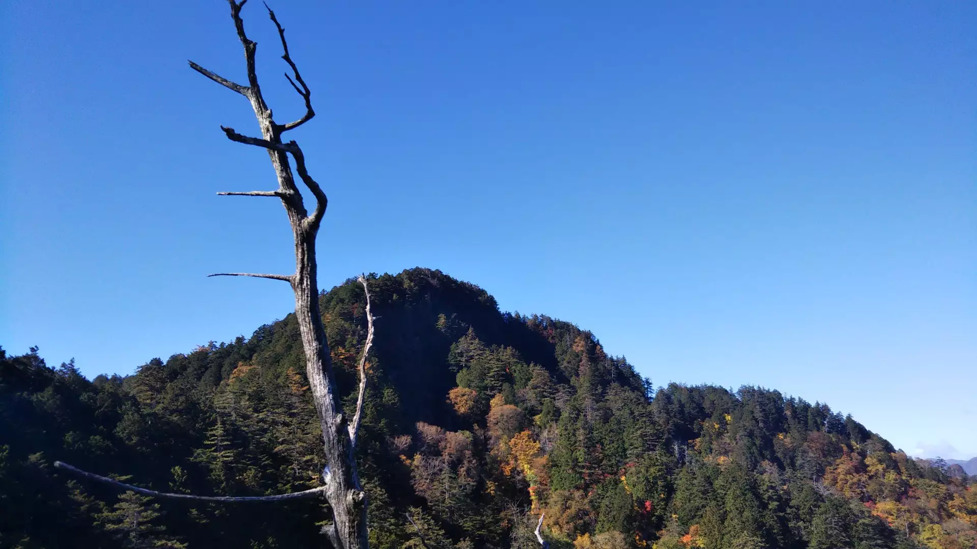 埼玉百名山 70座おっかない 帳付山 Otoo39さんの登山の活動データ Yamap ヤマップ