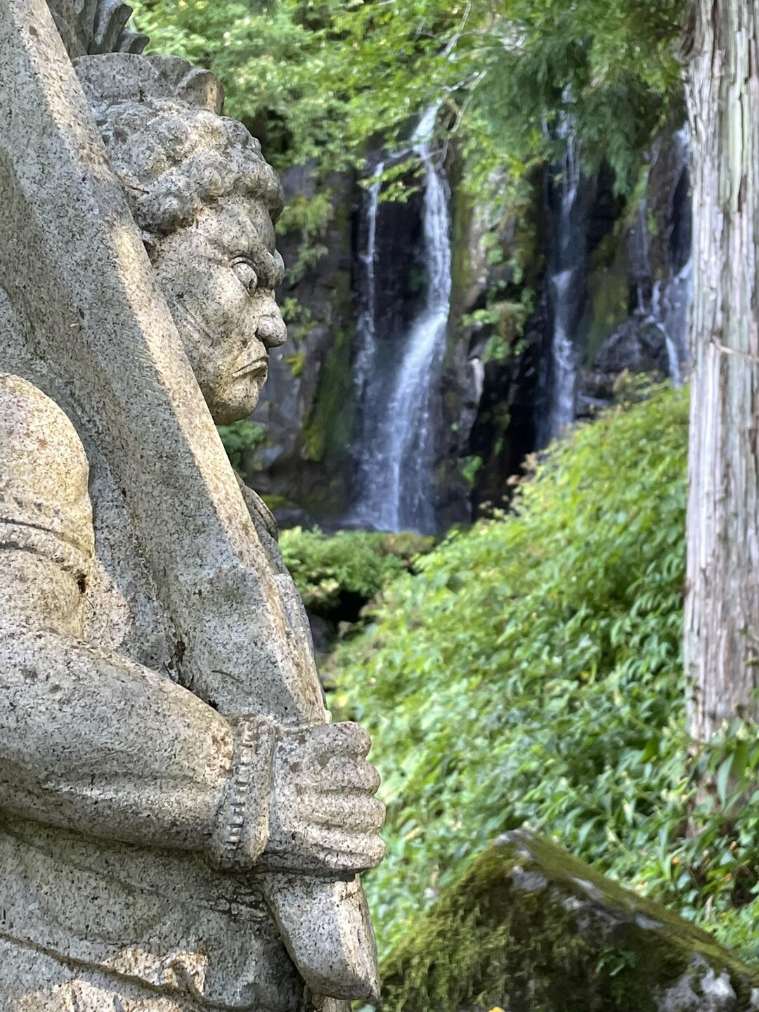 鳥兜山・五郎岳・三郎岳・不動滝【蔵王中央高原散策路巡り】 / 山河童さんの蔵王山・雁戸山・不忘山の活動データ YAMAP / ヤマップ