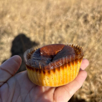 コンビニのバスクチーズでエネルギー補給