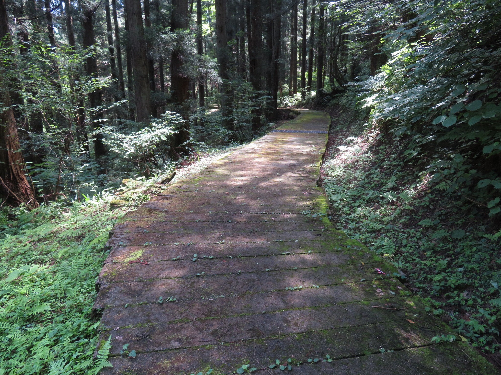 木六山・銀次郎山 倒木綺麗に除去されてます