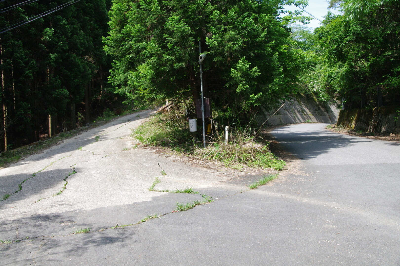白木谷山と半国高山 雲ヶ畑から小野郷へ ヤマノボラー Minaphmさんの桟敷ヶ岳 飯森山 天童山の活動日記 Yamap ヤマップ