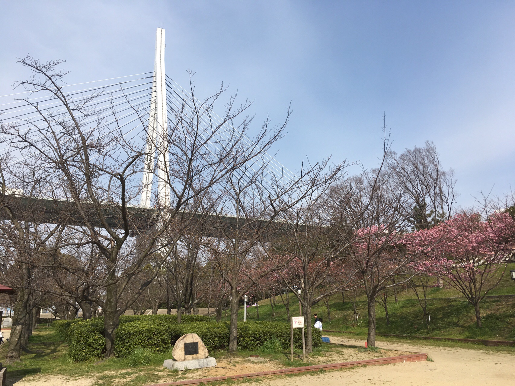 登頂証明書を貰うため 天保山に行ってきました ますきーさんの天保山の活動データ Yamap ヤマップ