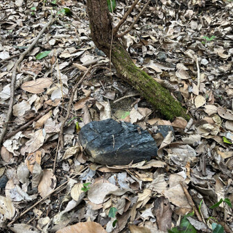 飯塚市 筑豊…嘗ての国を支えた石炭の残滓。