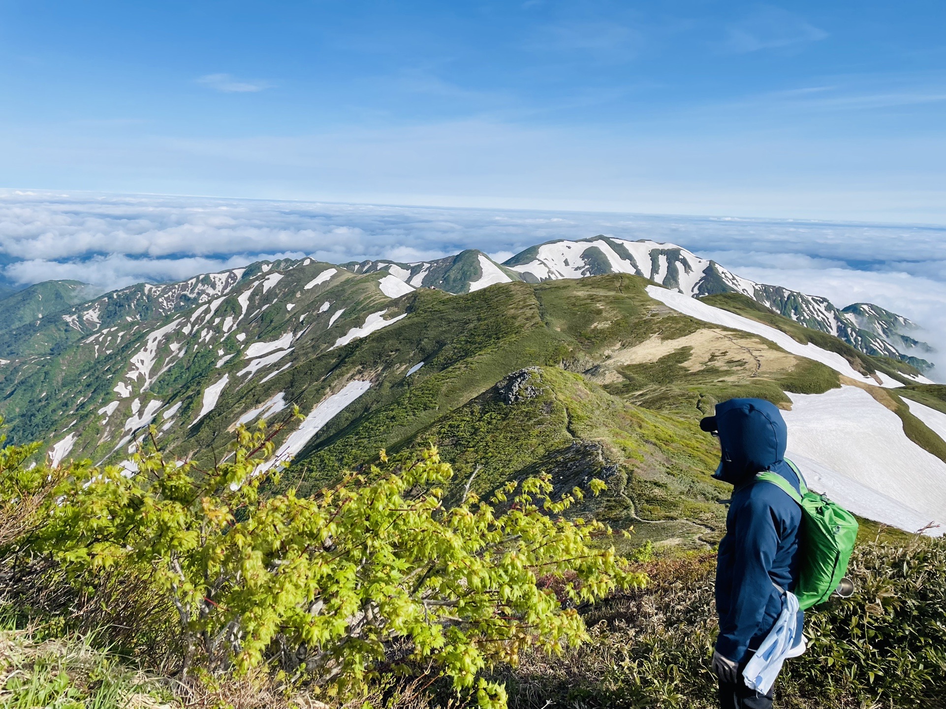 また来ようね。