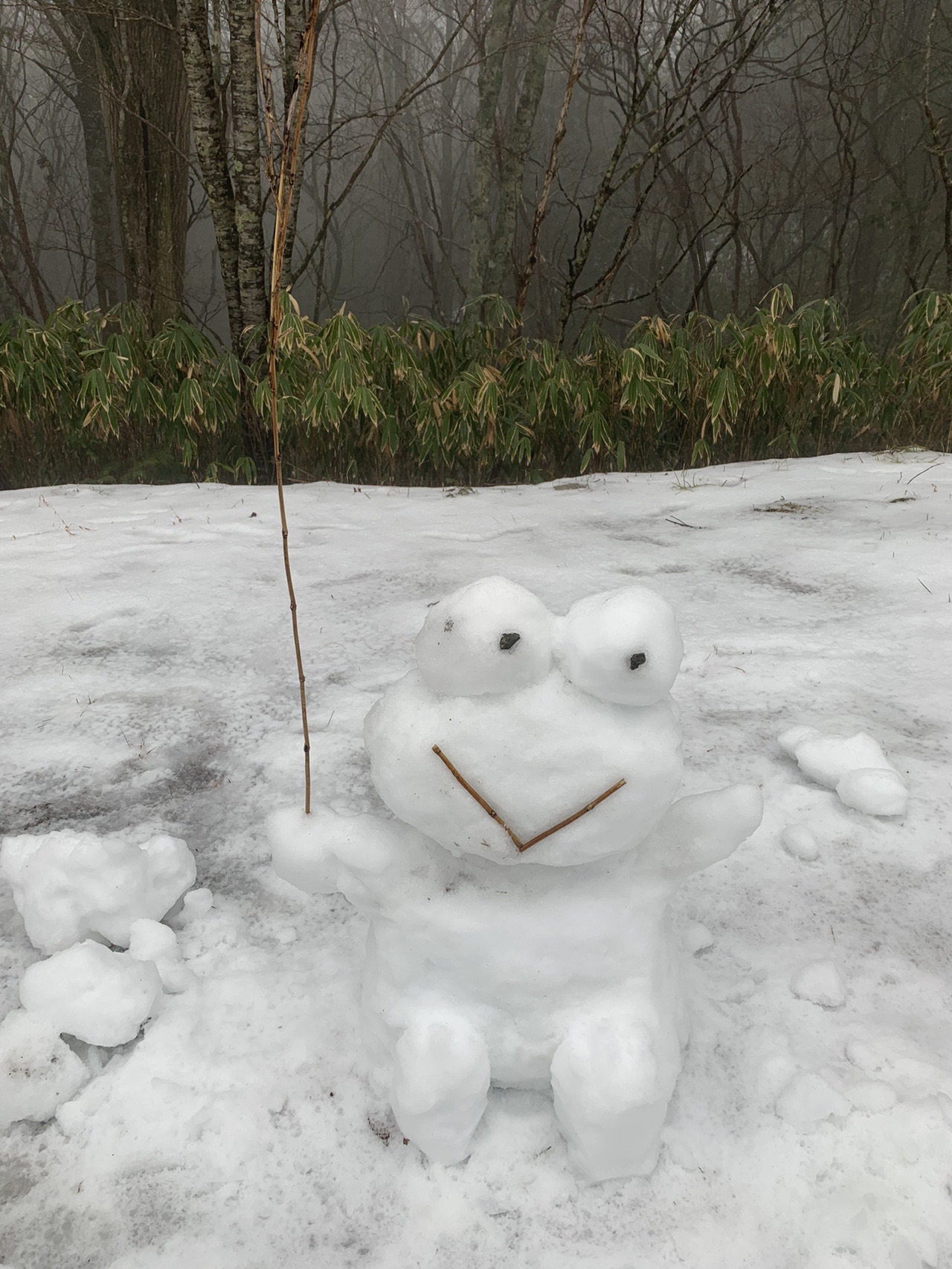 エースをねらえは宗方コーチ 登ってるは10高地 うぃりえーるさんの天狗棚 10高地 天狗ノ奥山 碁盤石山の活動データ Yamap ヤマップ