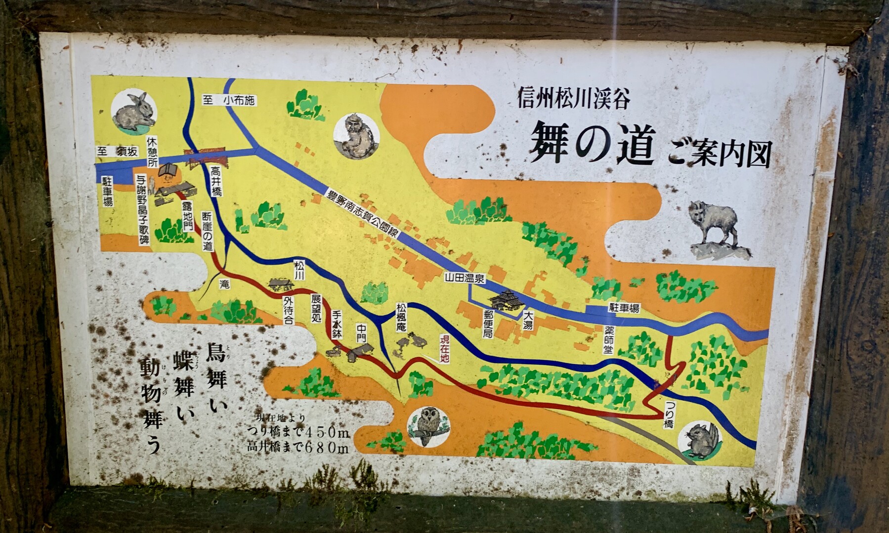 信州松川渓谷 舞の道 横手山 志賀山 赤石山の写真23枚目 鳥舞い 蝶舞い 動物舞う に変わりまし Yamap ヤマップ