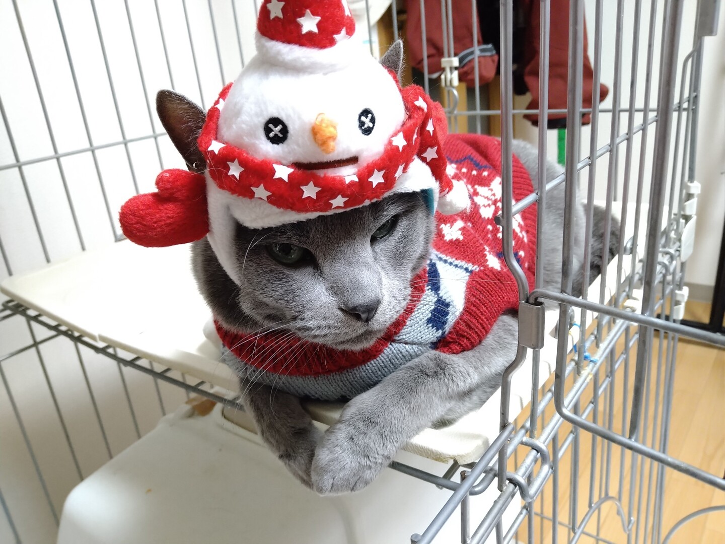 ゆずのページ Yamap ヤマップ