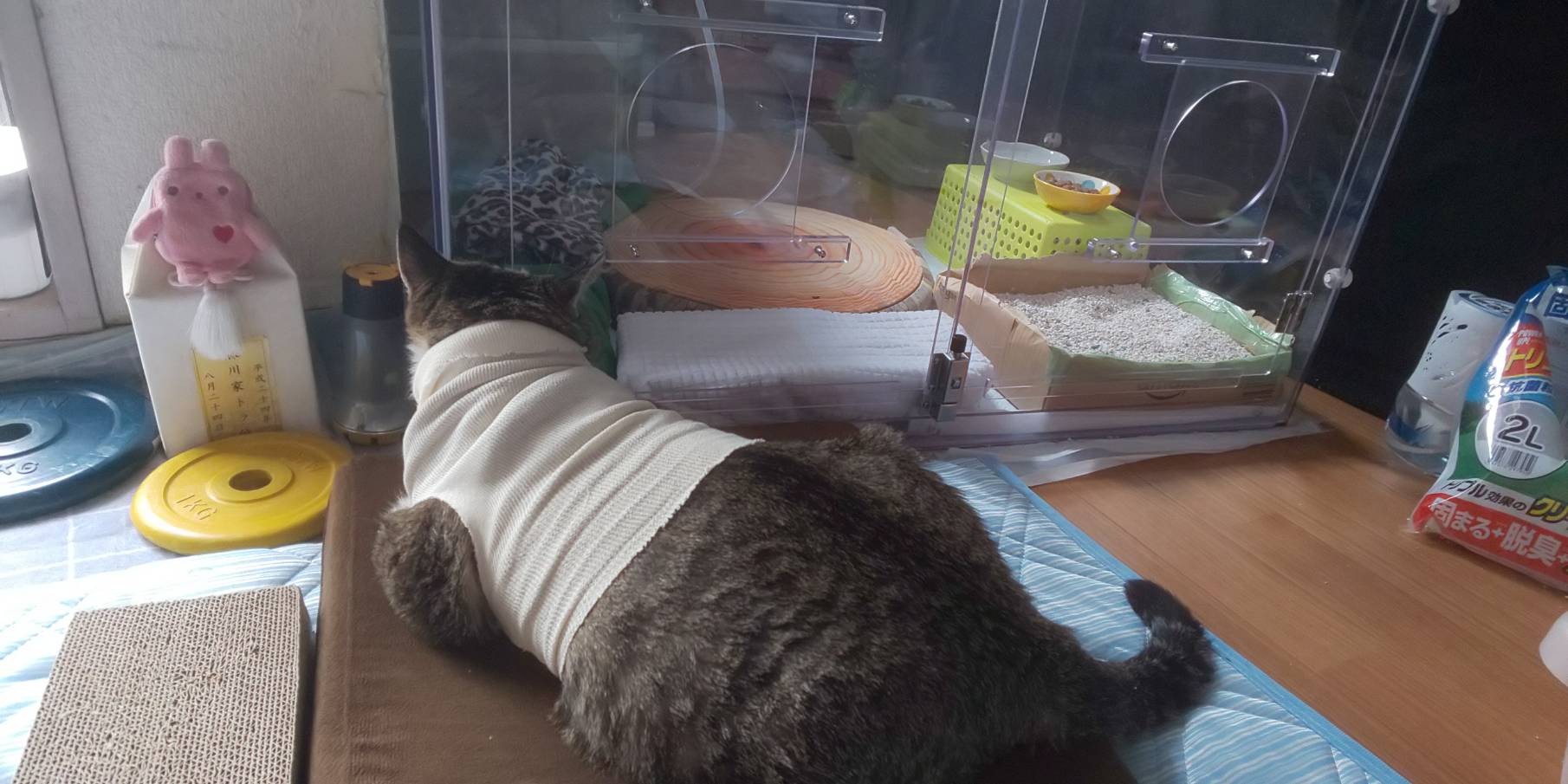 エリ、ありがとう。これからもずっと。 / ☆S ∞MЯK☆エリゴンズさんの 