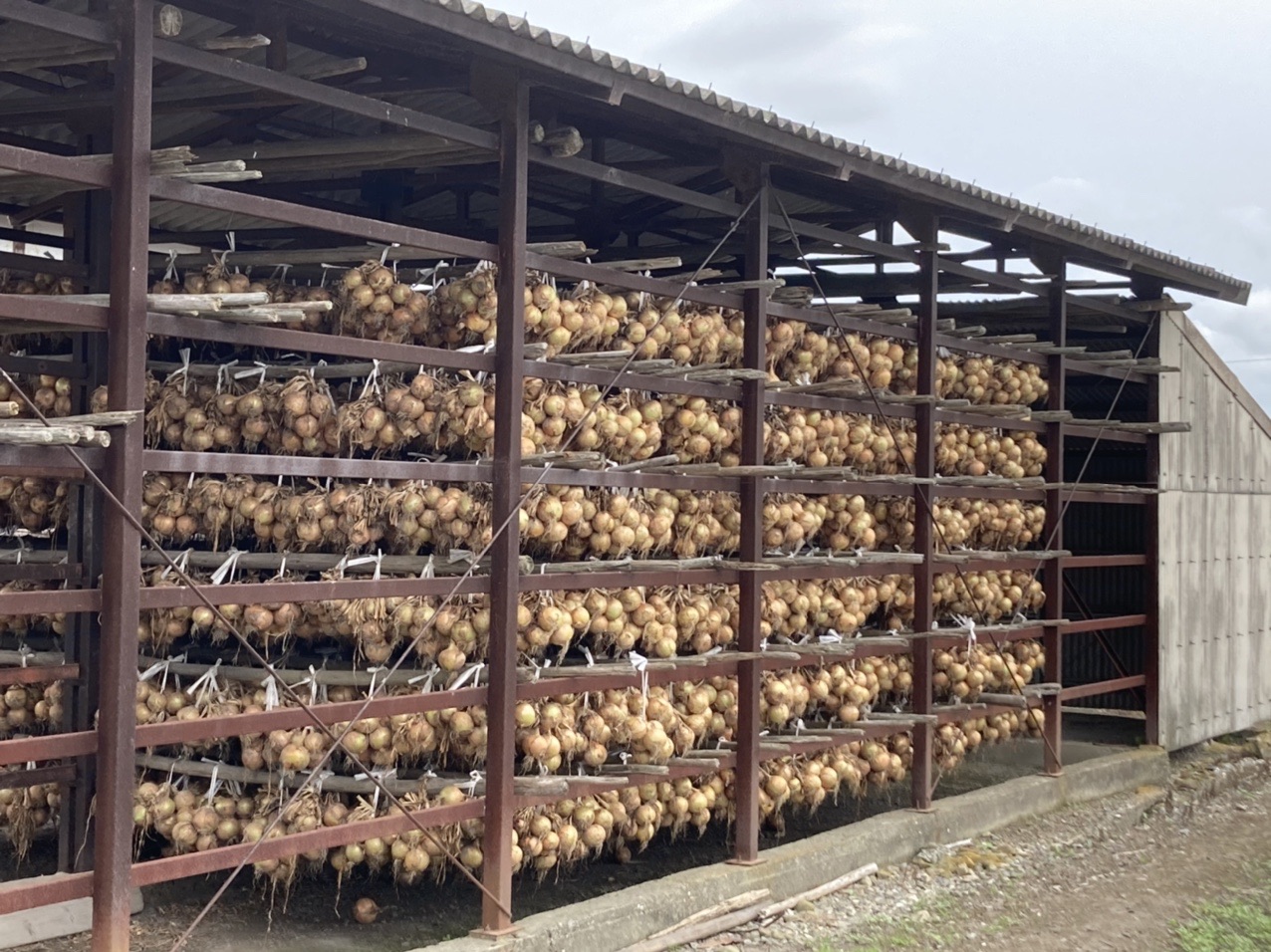 淡路島サイクリング ピンス焼きを求めて-2021-06-26- / ヨシキさんの 