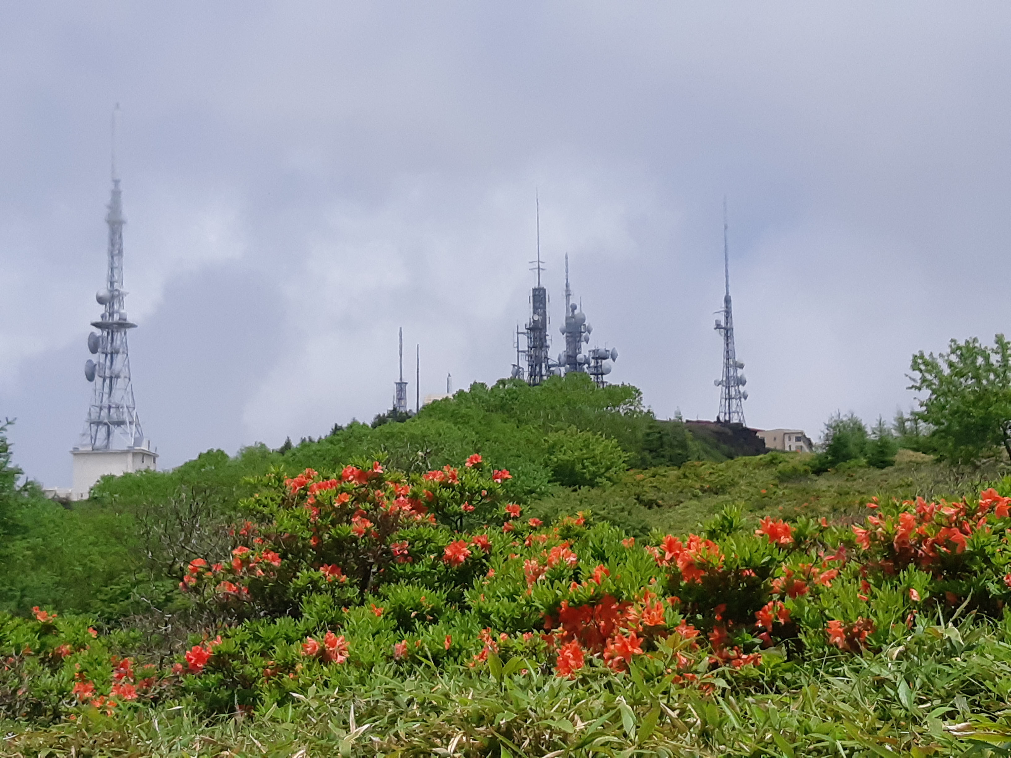 山とアンテナとツツジ 武石峰 美ヶ原 つるどんさんの美ヶ原の活動データ Yamap ヤマップ