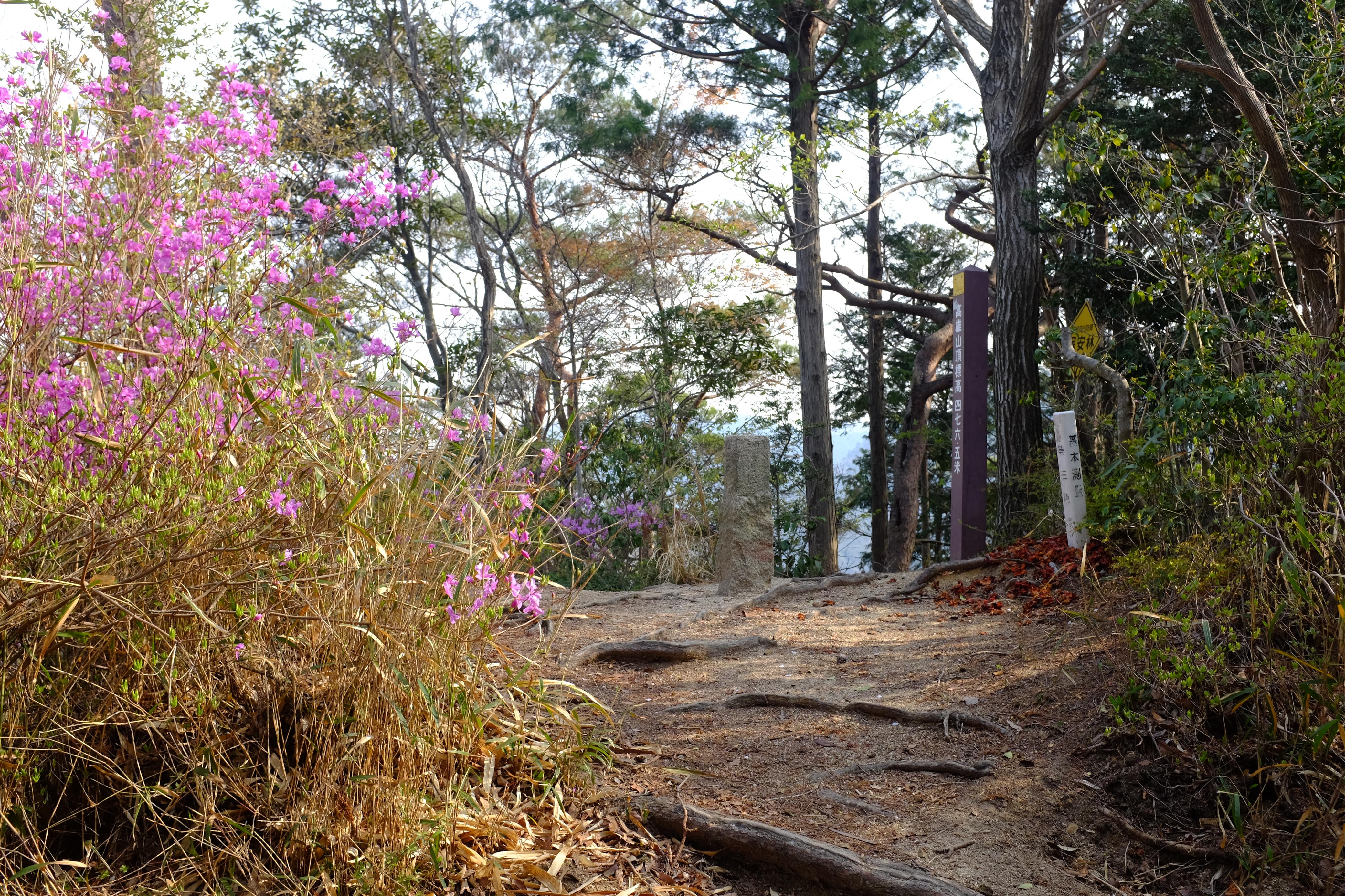 思い出の摩耶 へるにゃんさんの六甲山 長峰山 摩耶山の活動日記 Yamap ヤマップ