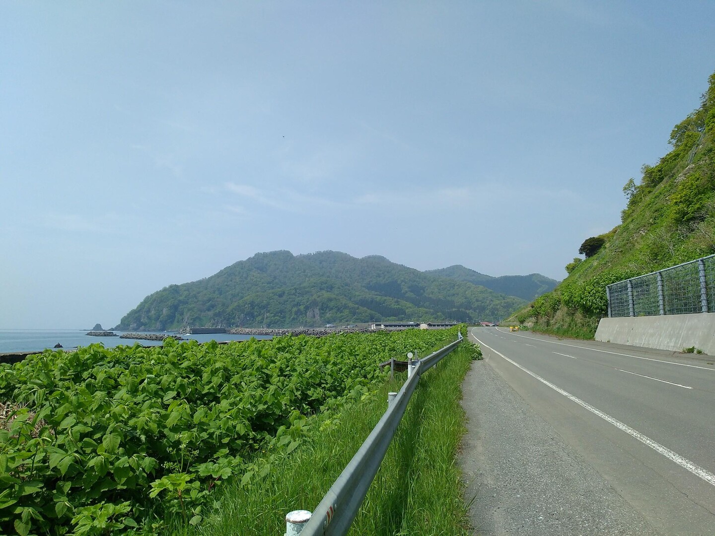 幌扶斯山 / トヨさんの礼文華峠の活動データ | YAMAP / ヤマップ