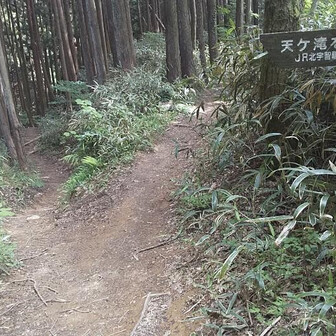 これより手前の宇和道？降り口は笹の茂みやし😑地図見たら終点辺り立ち入り禁止区間🚫ダメだこりゃ💦
ピストンで帰ります(左↘️)

貸して頂いた杖はまた第一ベンチ横に置いときました✌️ありがとうございました
