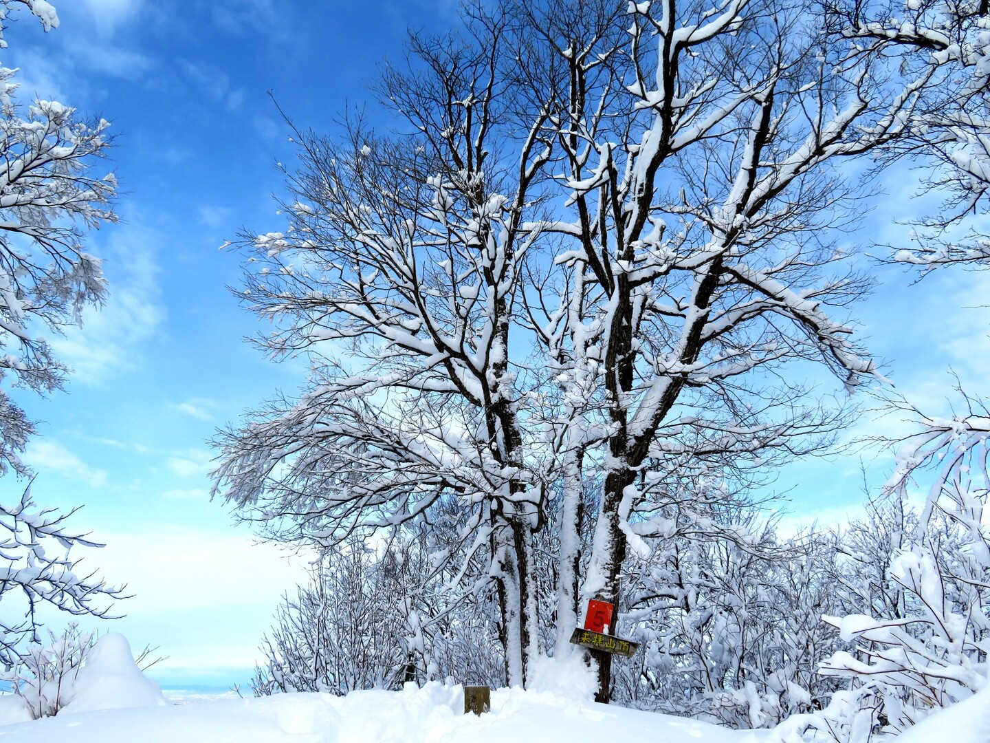 今季初の雪山は ハッスル！ ラッセル！礼拝山🏔️ / ヤマスギさんの塔倉山の活動データ YAMAP / ヤマップ
