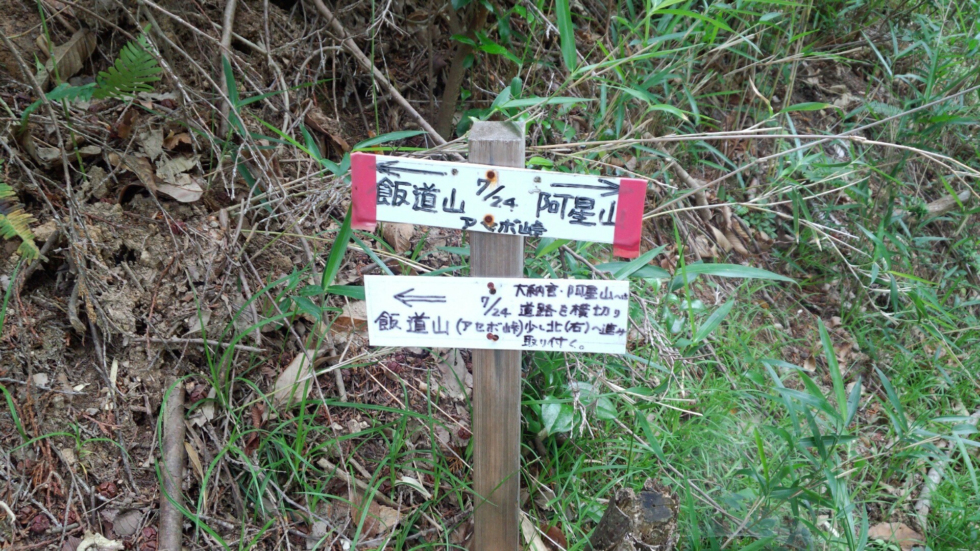 飯道山 はんどうさん アセボ峠 はなりんさんの飯道山の活動日記 Yamap ヤマップ