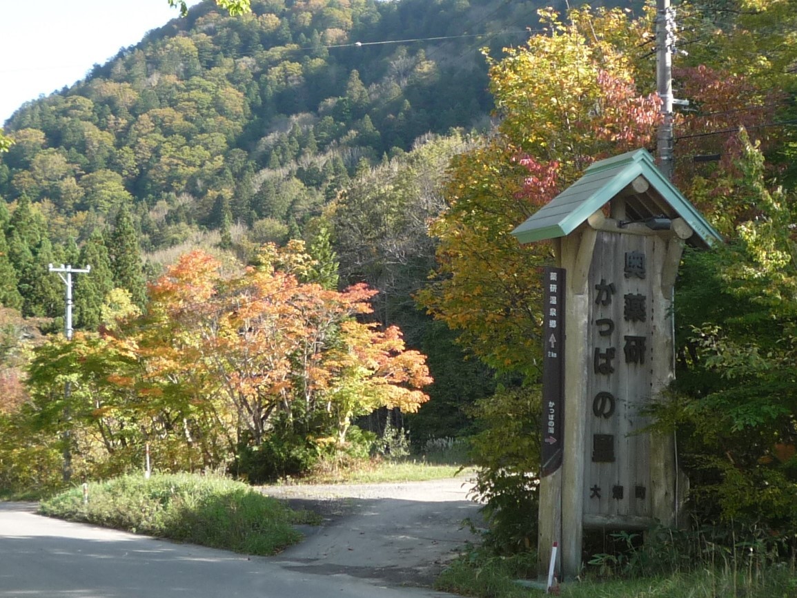 薬研渓流 むつ市 大畑町 Suzyさんのむつ市 大畑町エリア の活動日記 Yamap ヤマップ